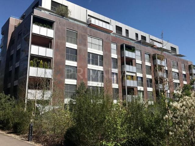 Apartment mieten in Chêne-Bougeries