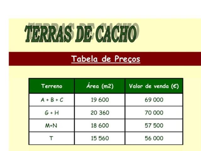 Terreno venda em Santarém