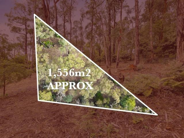 Property for sale in Camerons Creek, Victoria