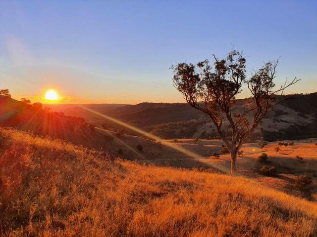 Cottage for sale in Ullamalla, New South Wales