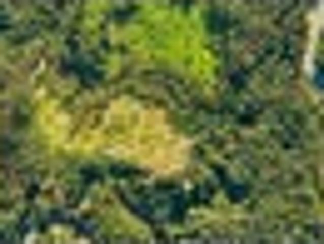 House for sale in Tairua, Waikato