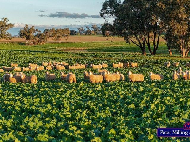 Property for sale in Arthurville, New South Wales