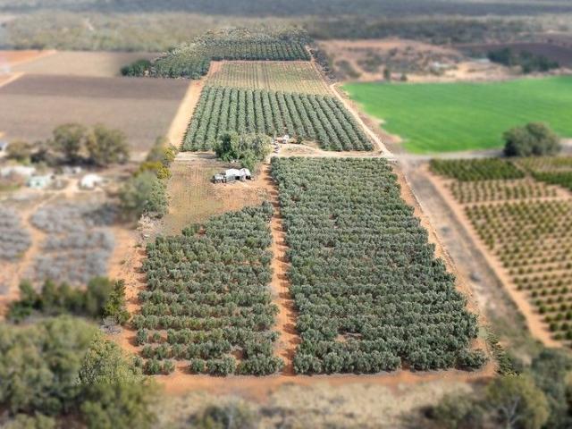 Cottage for sale in Winkie, South Australia