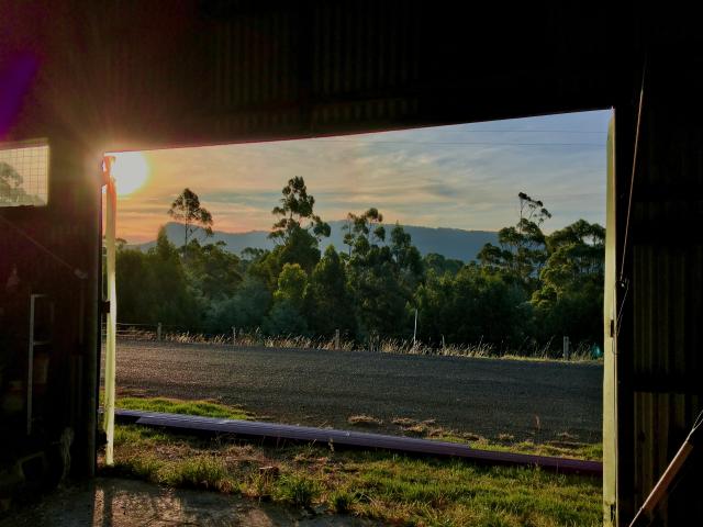 Cottage for sale in North Motton, Tasmania