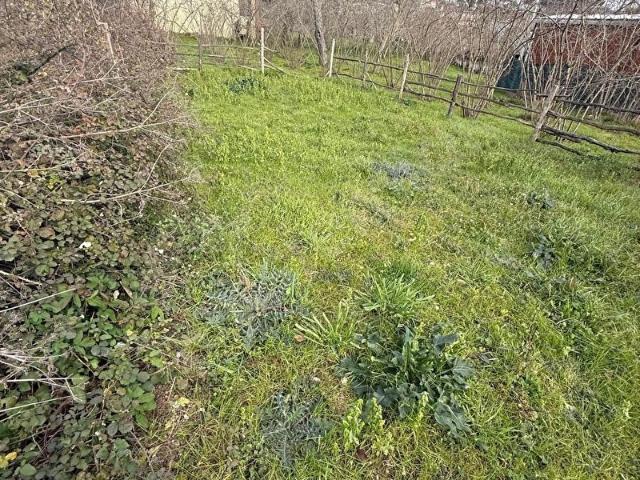 Şile, İstanbul içerisinde satılık Arsa