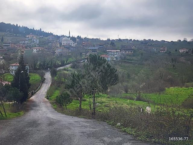 Şile, İstanbul içerisinde satılık Arsa