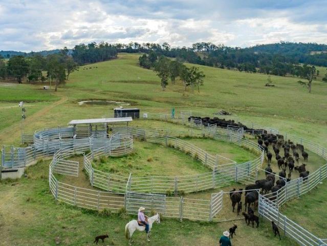 Commercial Land for sale in Bonalbo Commercial Land for sale in Bonalbo