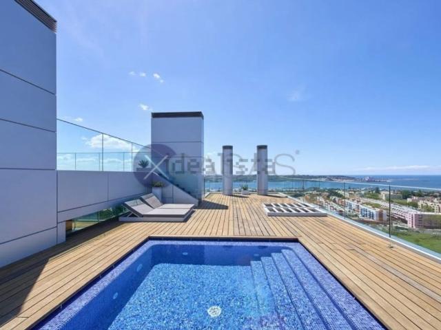 Apartamento venda em São Francisco Xavier, Lisboa
