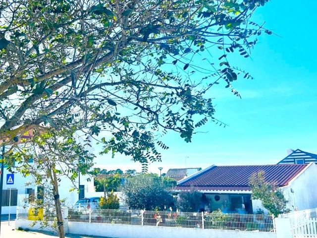 Casa venda em Alcácer Do Sal, Setúbal