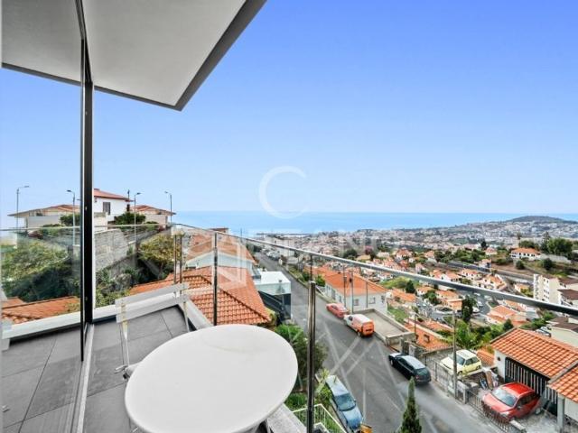 Casa venda em Livramento, Funchal