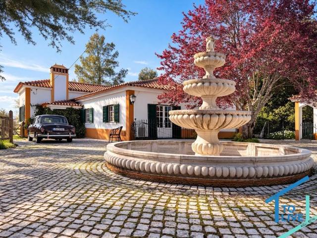 Casa venda em Curvaceiras Grandes, Tomar