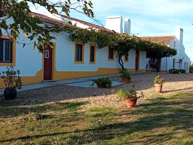 Solar venda em Alvito, Vila Nova Da Baronia