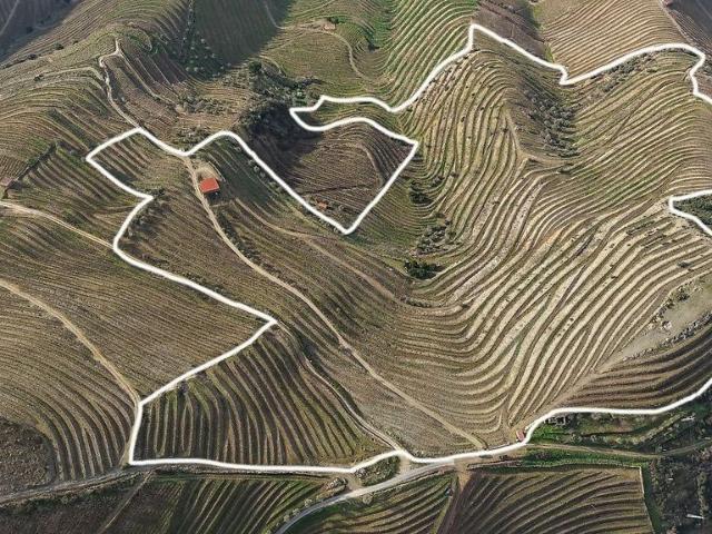Solar venda em Nagoselo Do Douro, Viseu