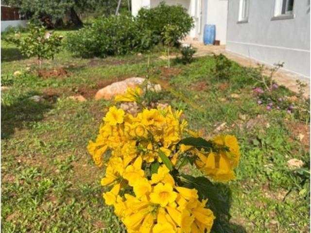 Solar venda em Luz de Tavira, Tavira
