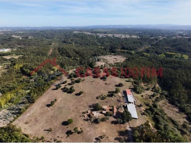 Terreno venda em Leiria