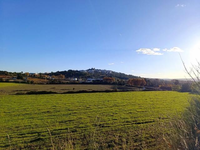 Solar venda em Castelo Branco