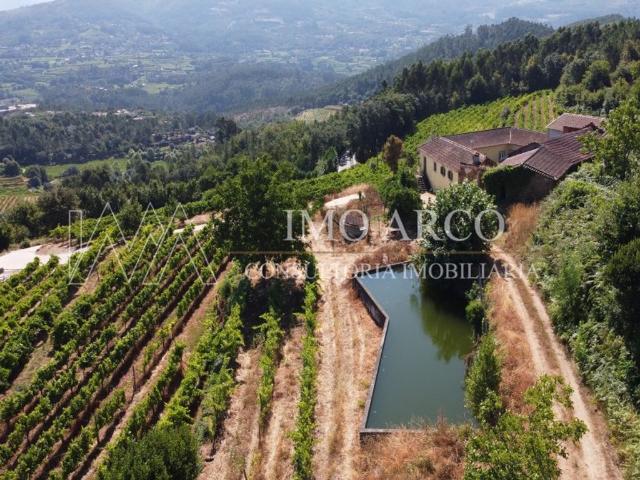 Solar venda em Cabeceiras De Basto, Braga
