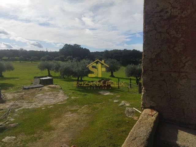 Solar venda em Castelo Branco