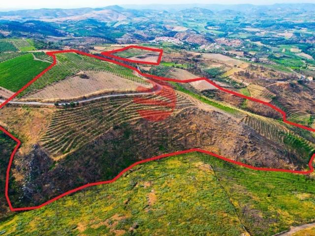 Terreno venda em Guarda, Mós