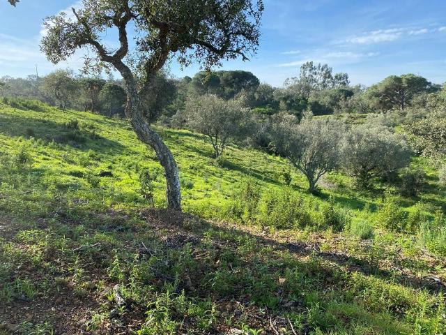 Terreno venda em Melides