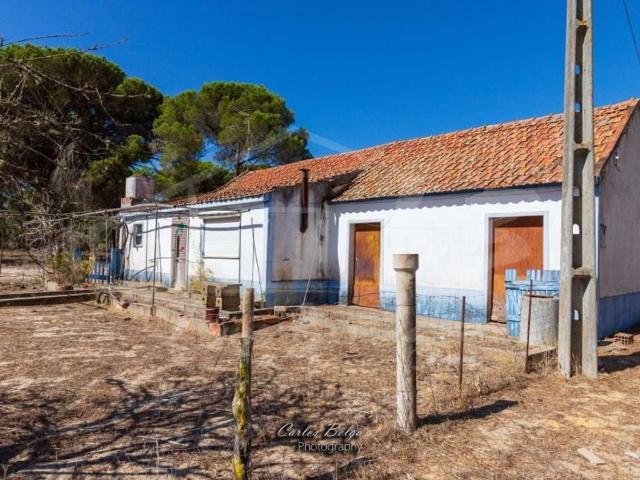 Solar venda em Grândola, Setúbal