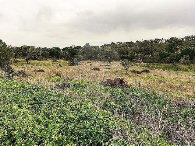 Solar venda em Grândola, Setúbal