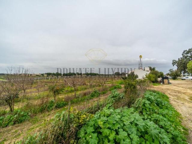 Solar venda em Palmela, Setúbal