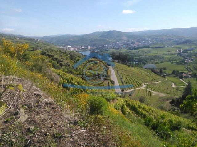Solar venda em Peso Da Régua, Vila Real