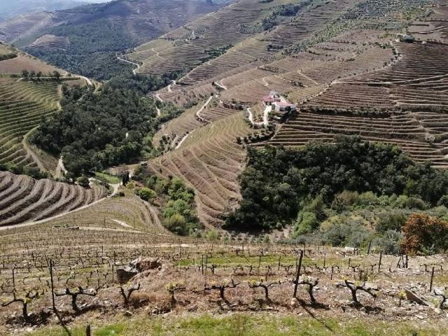 Solar venda em Vila Real