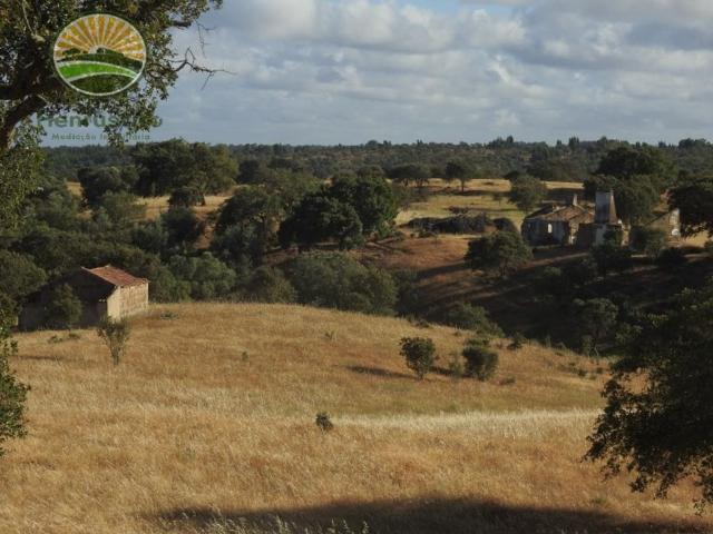 Solar venda em Grândola, Setúbal