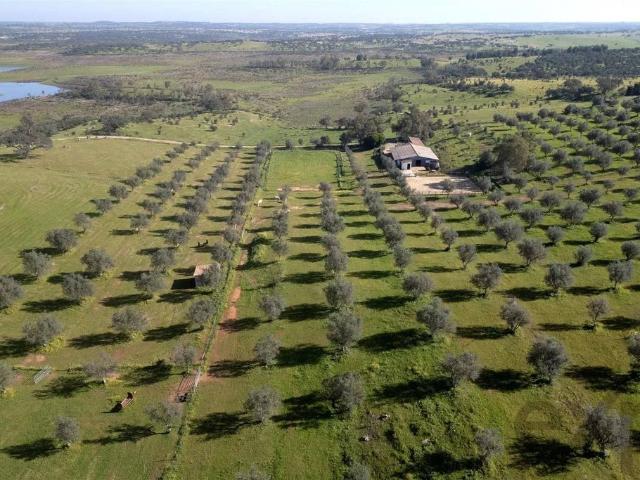 Solar venda em Ourique, Beja