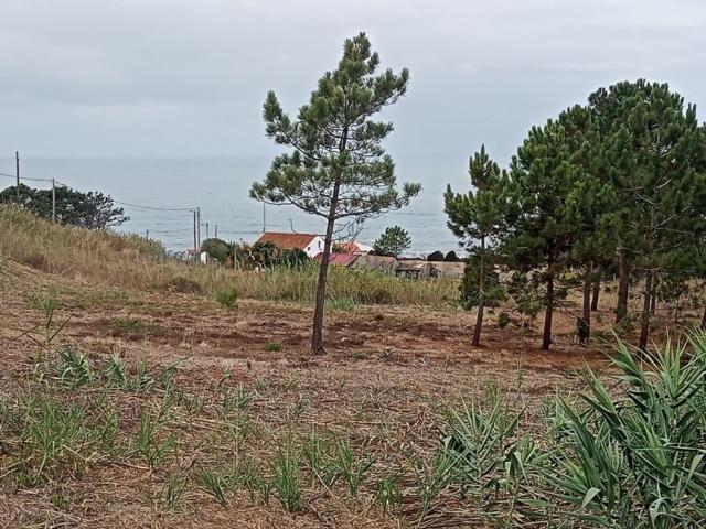 Casa venda em Pederneira, Leiria