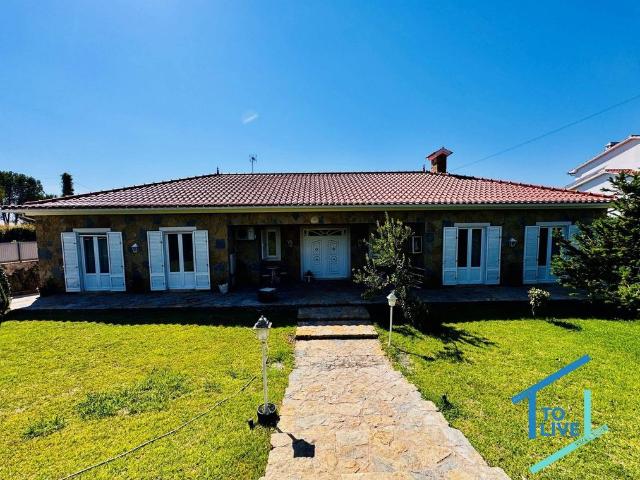Casa venda em Madalena e Beselga, Tomar