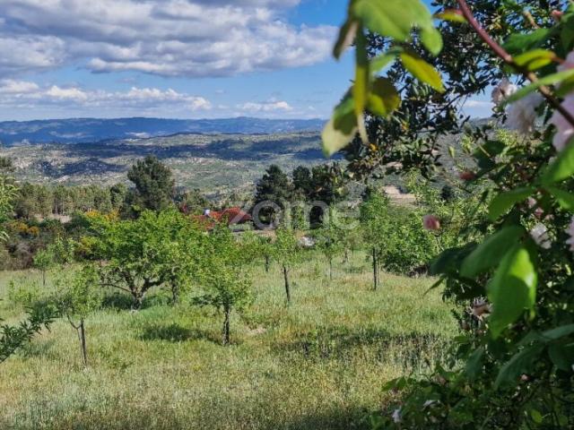 Terreno venda em Castorigo, Alijó