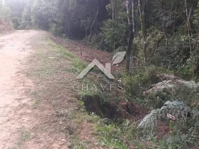 Sítio e chácara venda em Campo Largo, Região Geográfica Intermediária de Curitiba