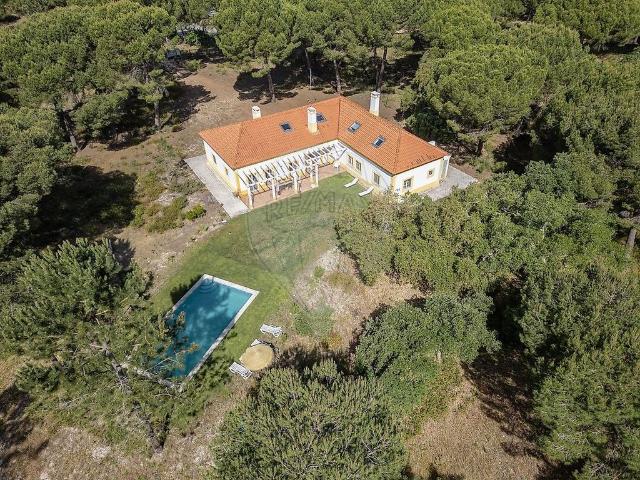 Solar venda em Montevil, Alcácer Do Sal