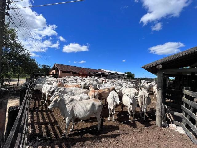 Fazenda venda em Região Geográfica Imediata de Cabo Frio, Araruama
