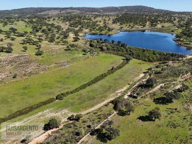 Terreno venda em Monforte da Beira, Castelo Branco