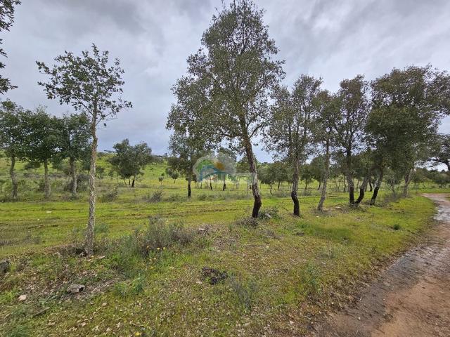 Solar venda em Reguengos De Monsaraz, Évora