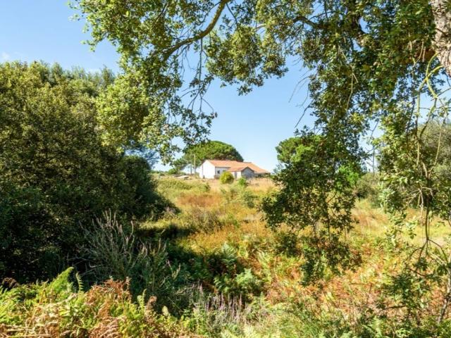 Solar venda em São Teotónio, Odemira