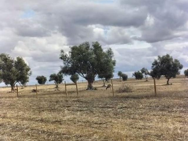 Solar venda em Beja