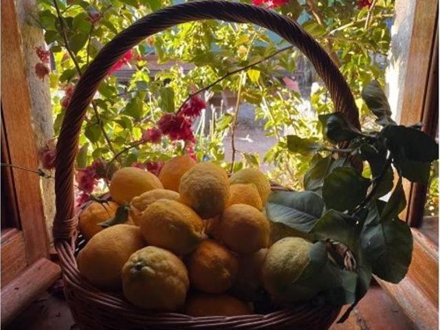 Solar venda em Luz de Tavira, Tavira