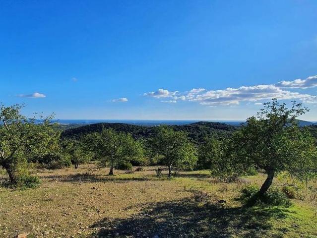 Solar venda em Santa Catarina da Fonte do Bispo, Tavira