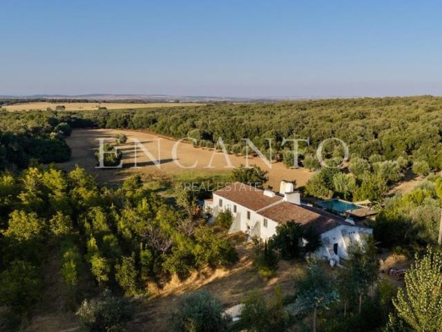 Solar venda em Bairro dos Abibes, Estremoz