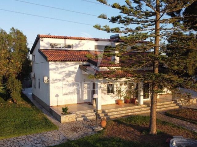 Casa venda em Benavente, Santarém
