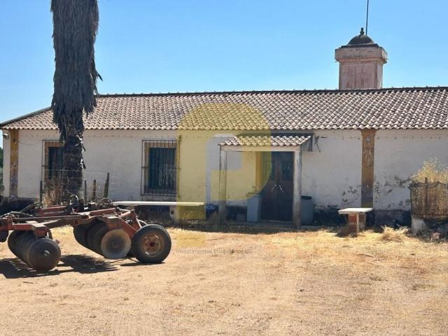 Solar venda em São Pedro Terena, Évora