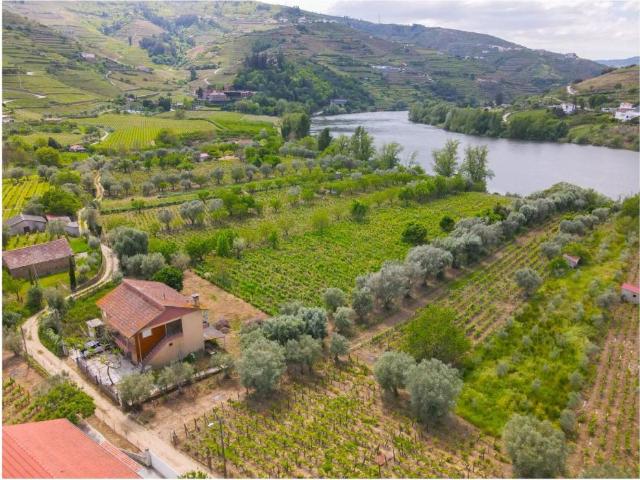 Solar venda em Quintião, Lamego