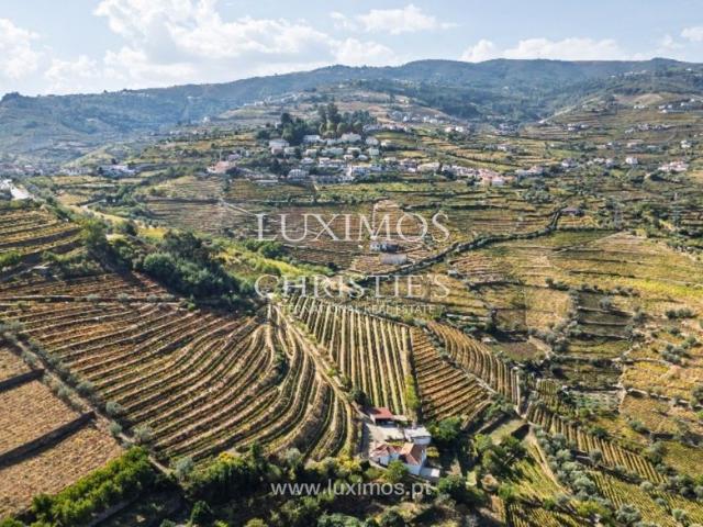Solar venda em Lamego, Viseu