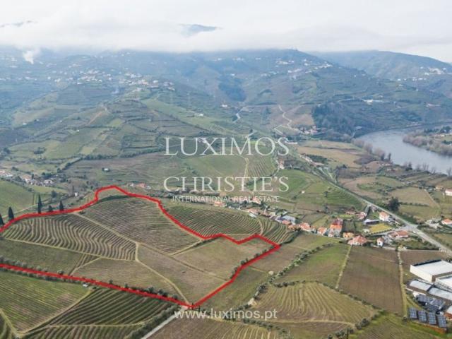 Solar venda em Lamego, Viseu