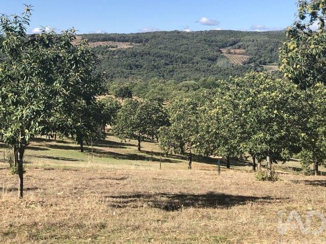 Solar venda em Bragança